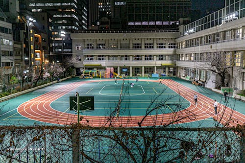 篮球NBA历史最佳扣篮榜更新